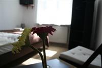 Adax Goscinne Kraków